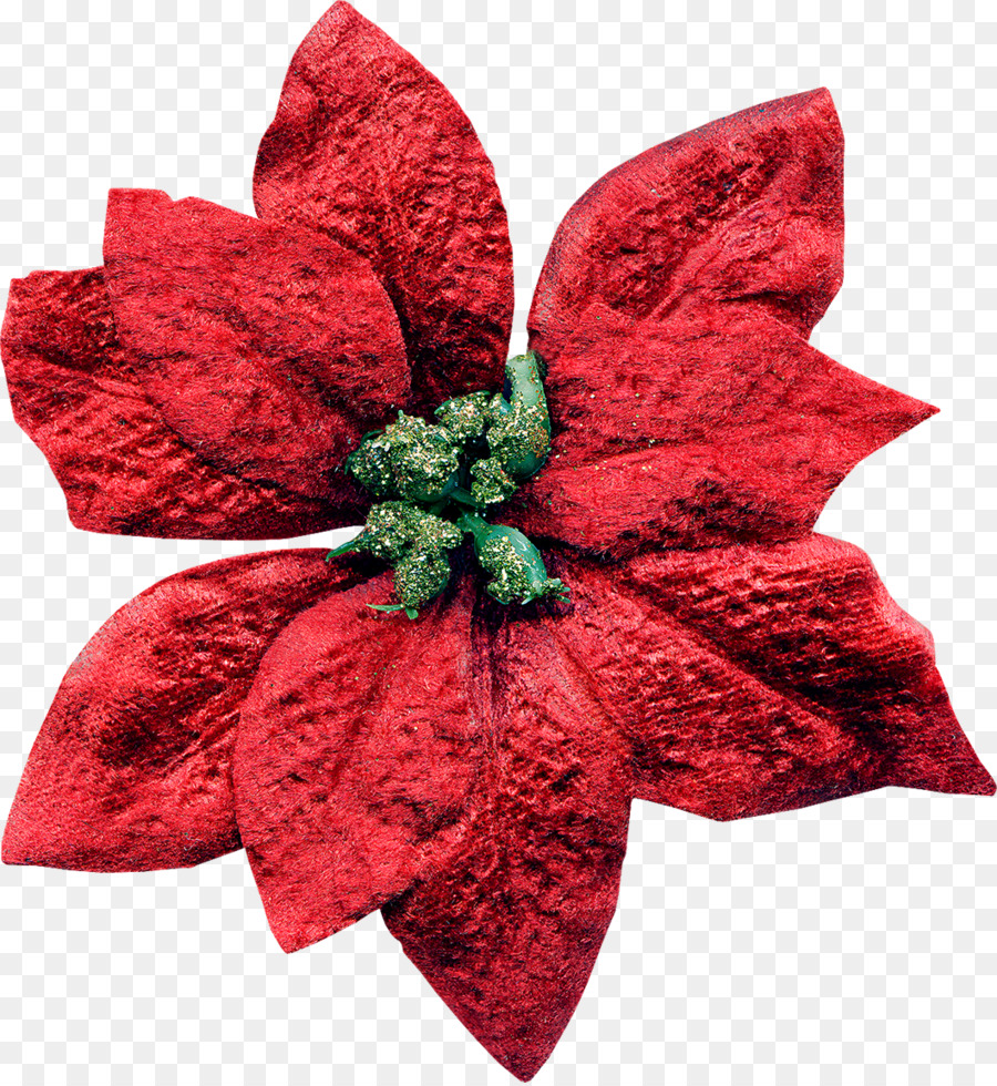 Flor，Decoração De Natal PNG