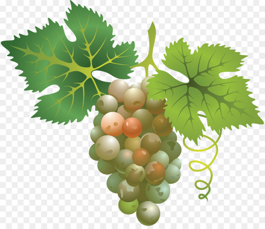 Uvas Verdes，Folha PNG