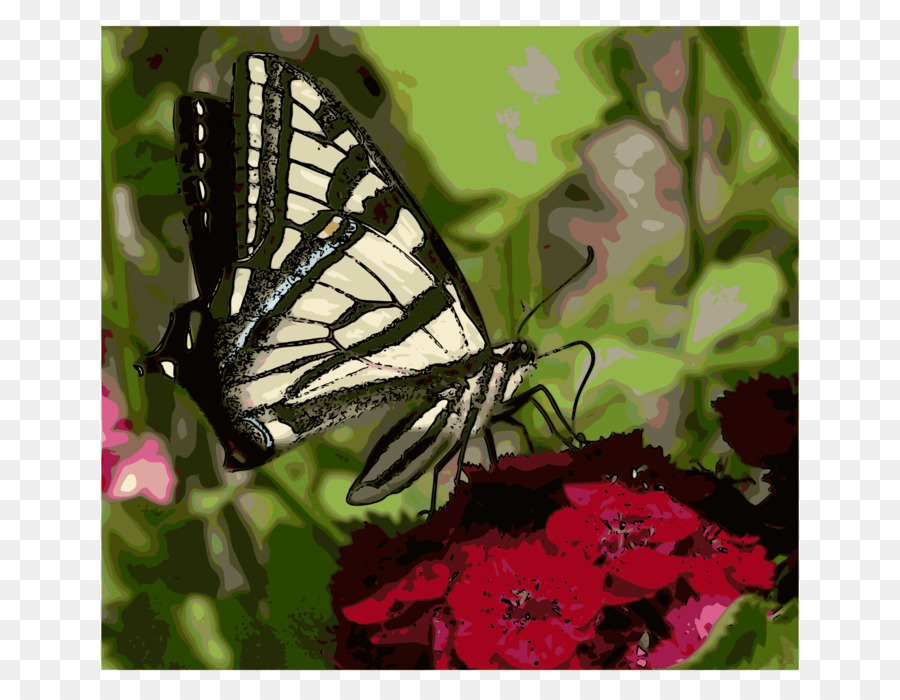 Borboleta，Flor PNG