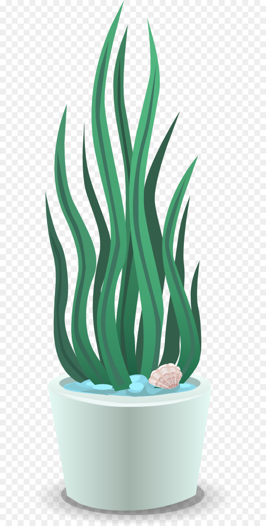 Planta，Flowerpot PNG