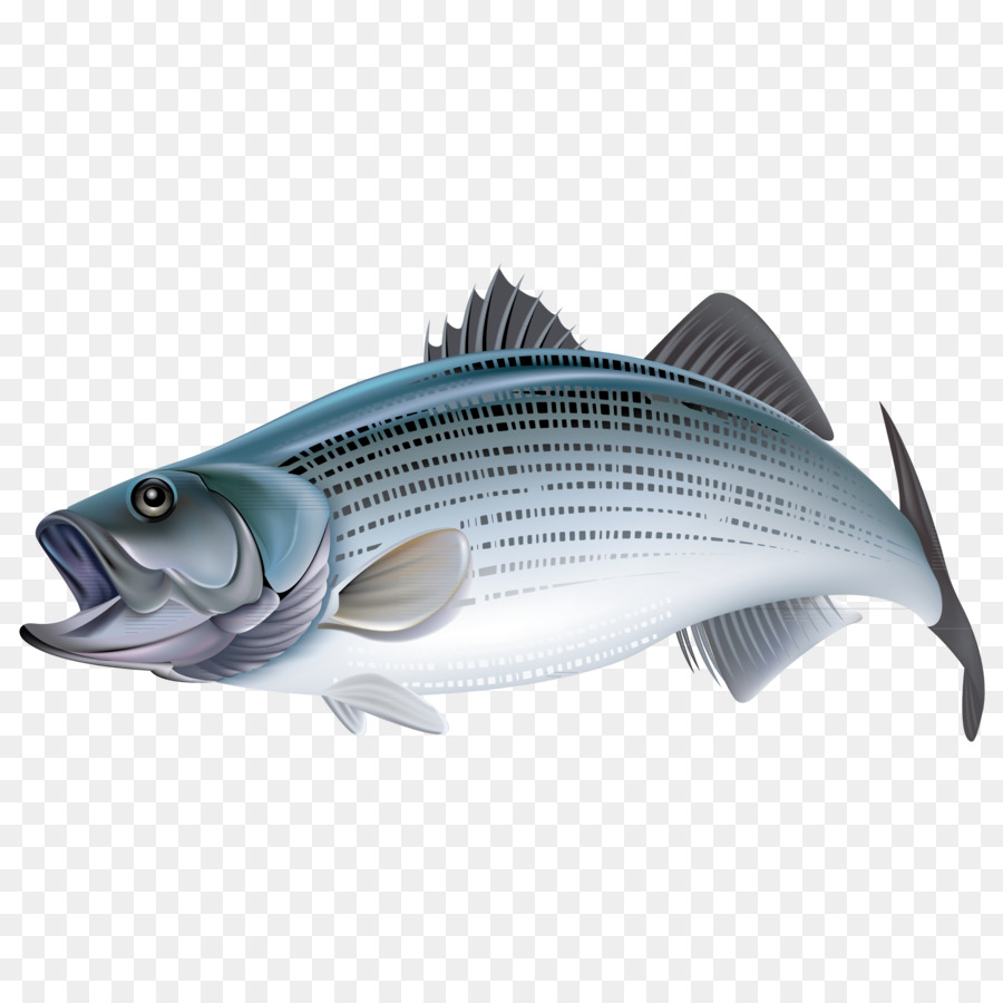 Peixe，Adesivo PNG