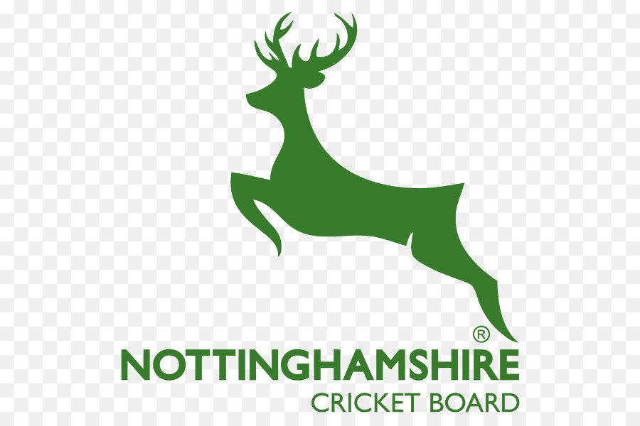 Logotipo Do Conselho De Críquete De Nottinghamshire，Grilo PNG