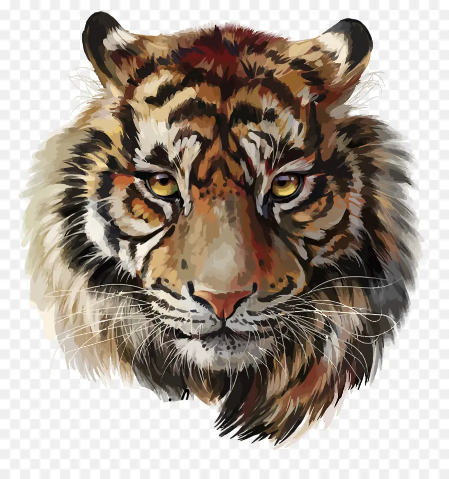 Tigre，Pintura PNG