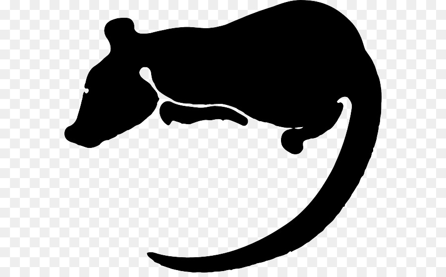 Laboratório De Ratos，Rat PNG