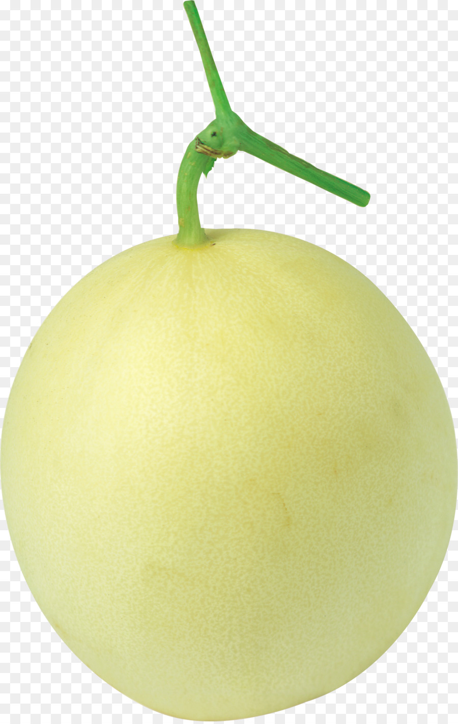 Melão，Honeydew PNG