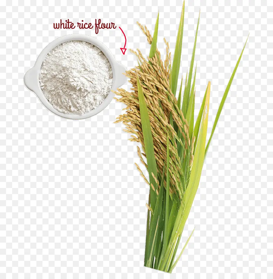 Farinha De Arroz Branco，Arroz PNG