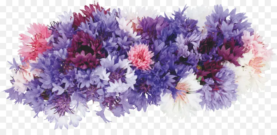 Flores，Ramalhete PNG