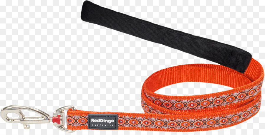 Leash，Correia PNG