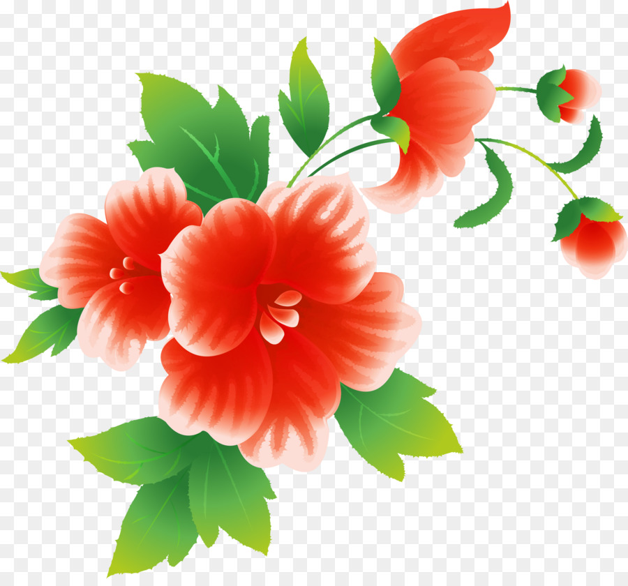 Flores Rosa，Florescer PNG