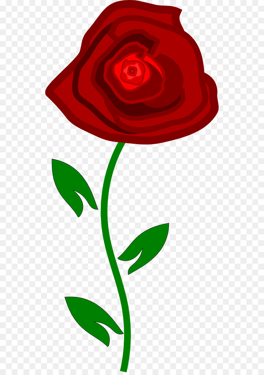 Rosa，Vermelho PNG