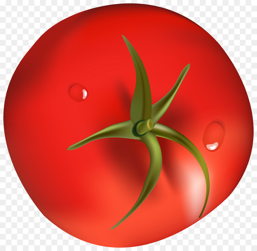 Tomate，Vegetal PNG