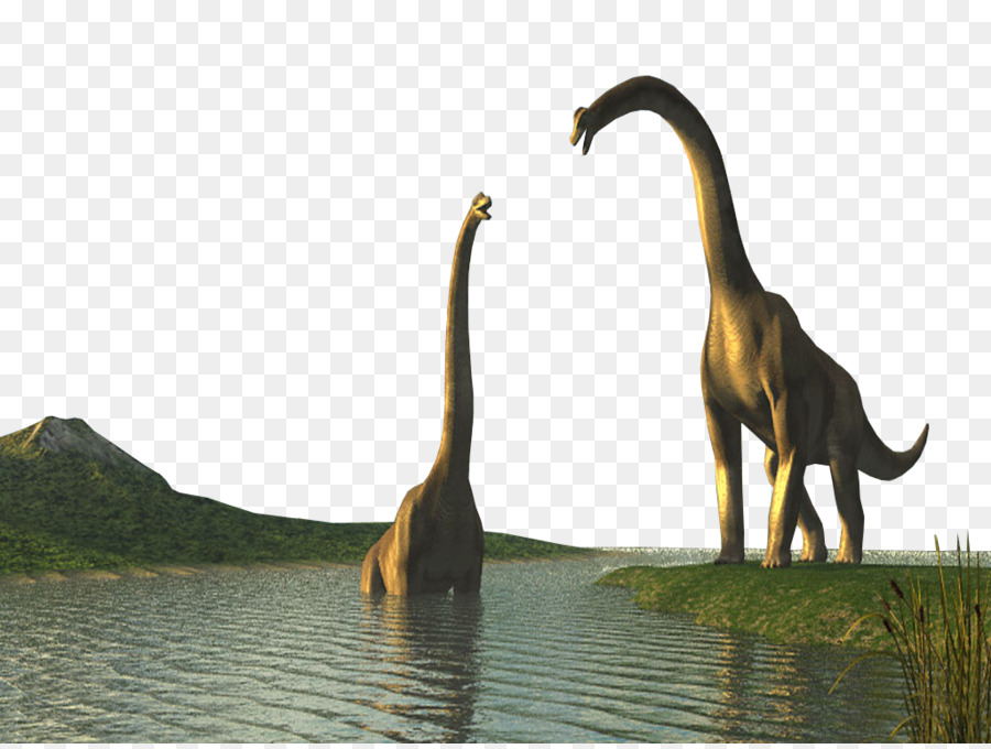 Dinossauro，A Vida Selvagem PNG