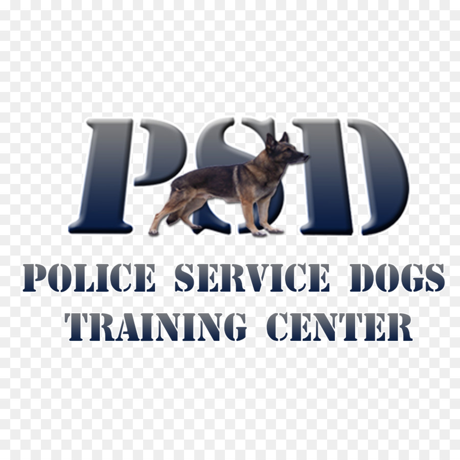 Boston Terrier，Cão Policial PNG