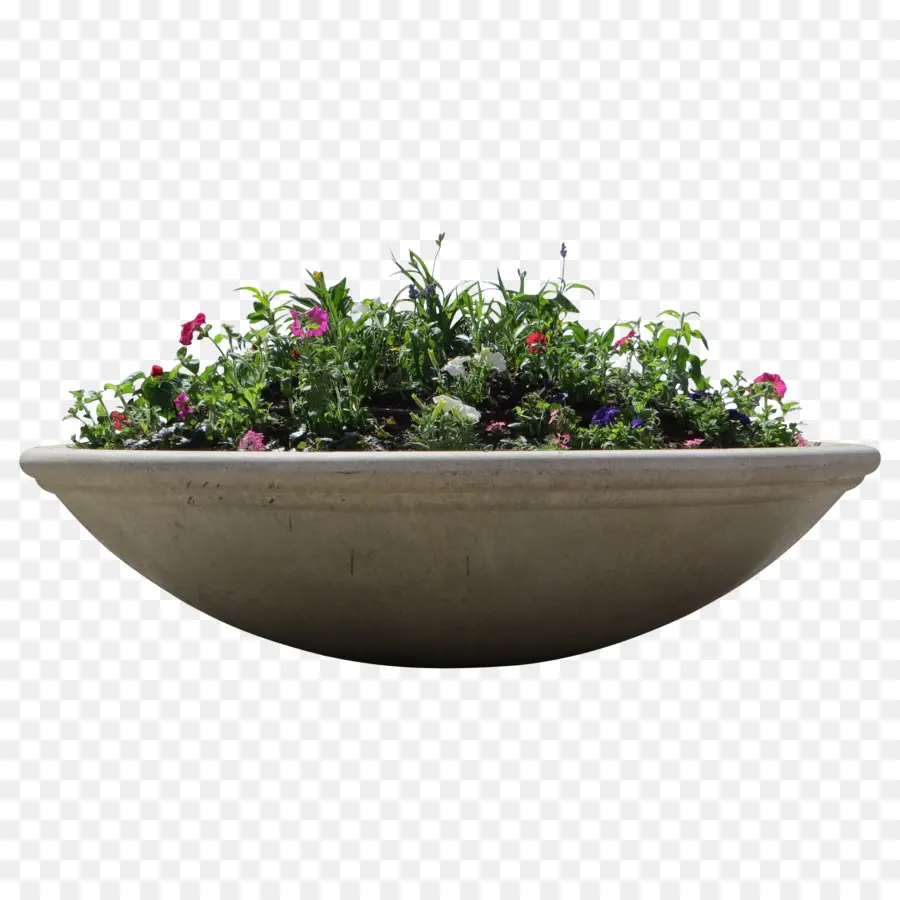 Flowerpot，Caixa Da Janela PNG