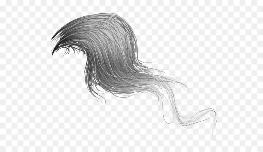 Cavalo，Cabelo PNG