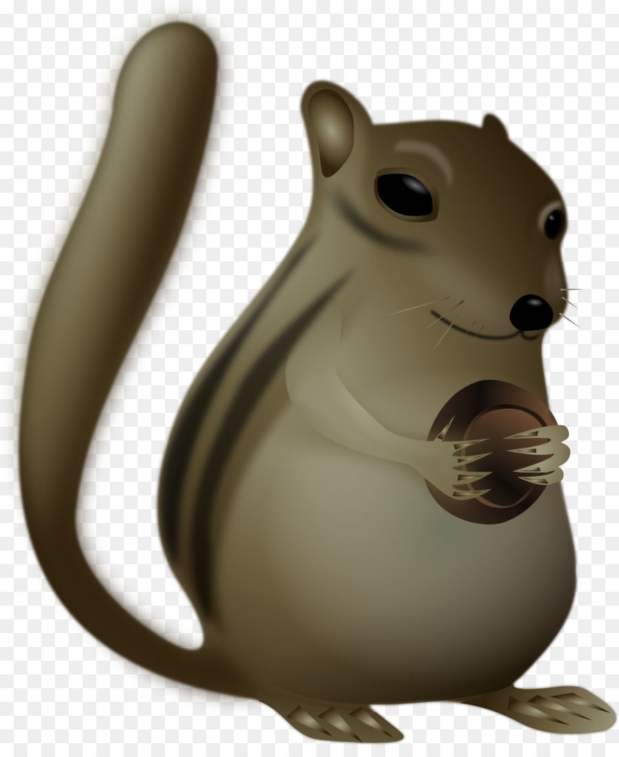 Esquilo，Chipmunk PNG