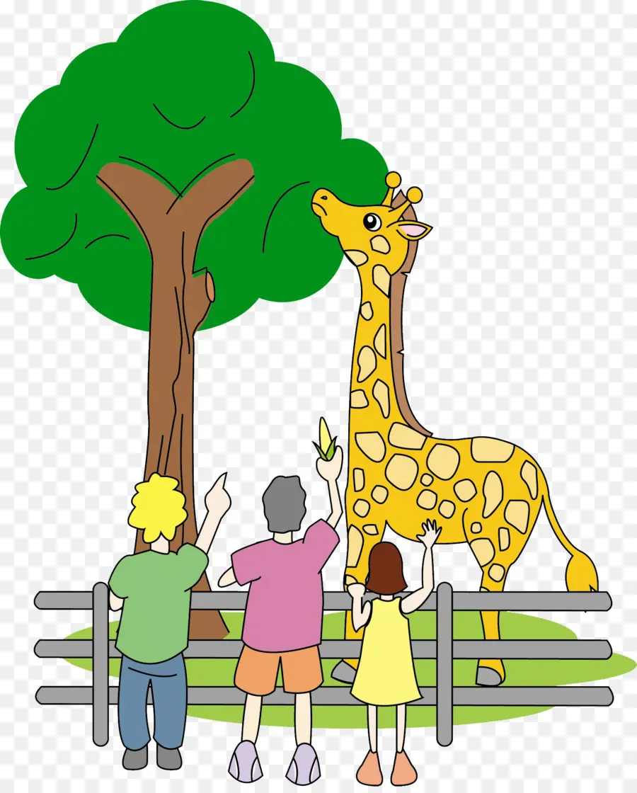 Girafa，Animais PNG