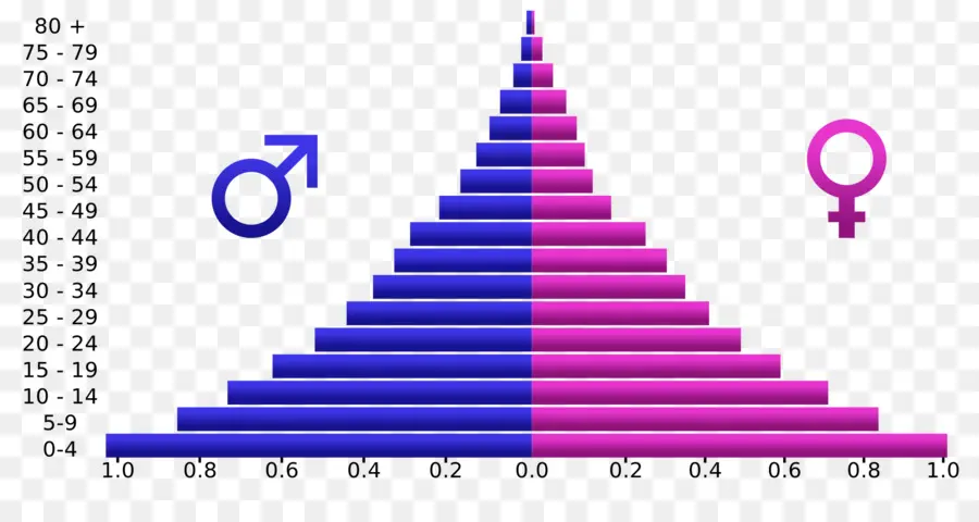 Pirâmide Populacional，Transição Demográfica PNG