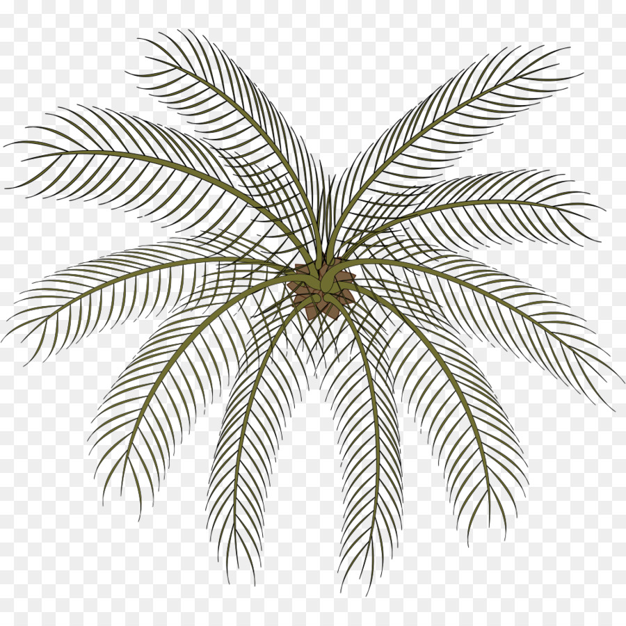 ícones Do Computador，Arecaceae PNG