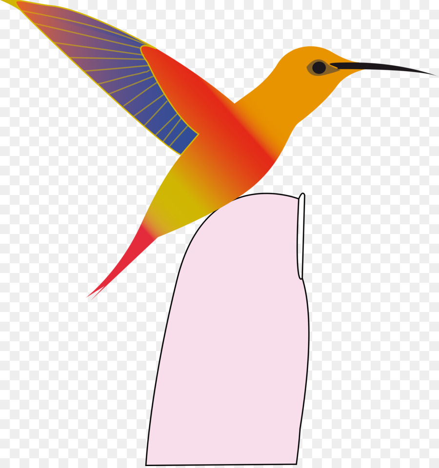 Beija Flor，Aves PNG