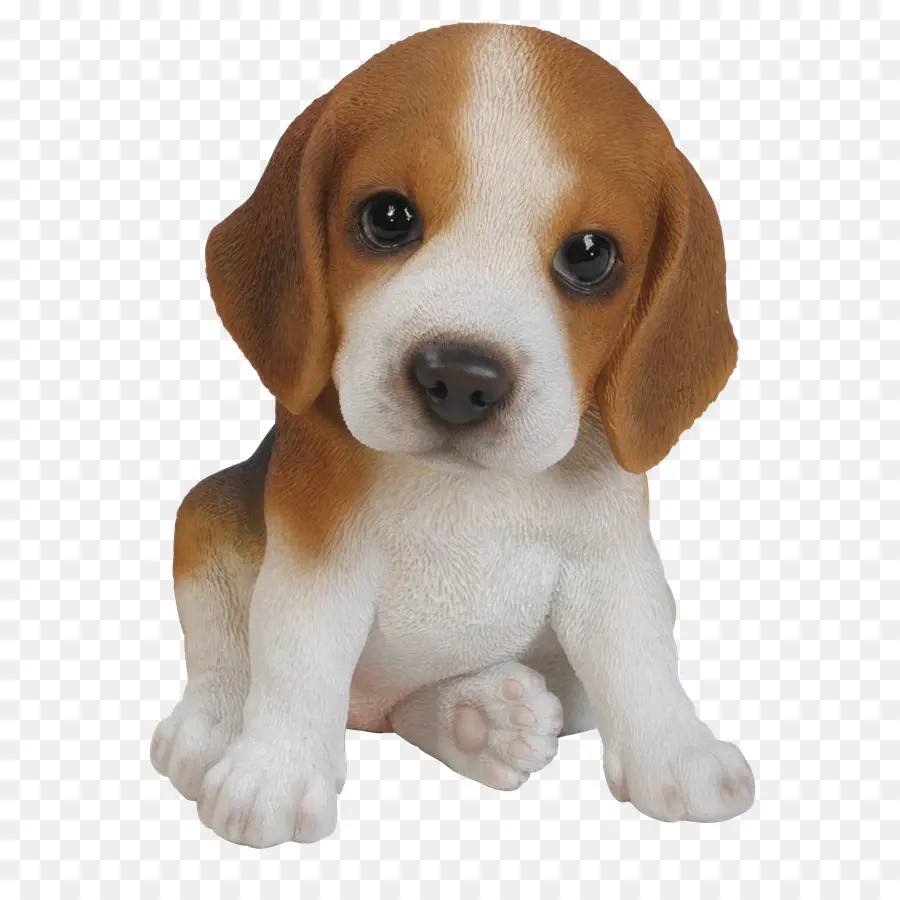 Beagle，Filhote De Cachorro PNG