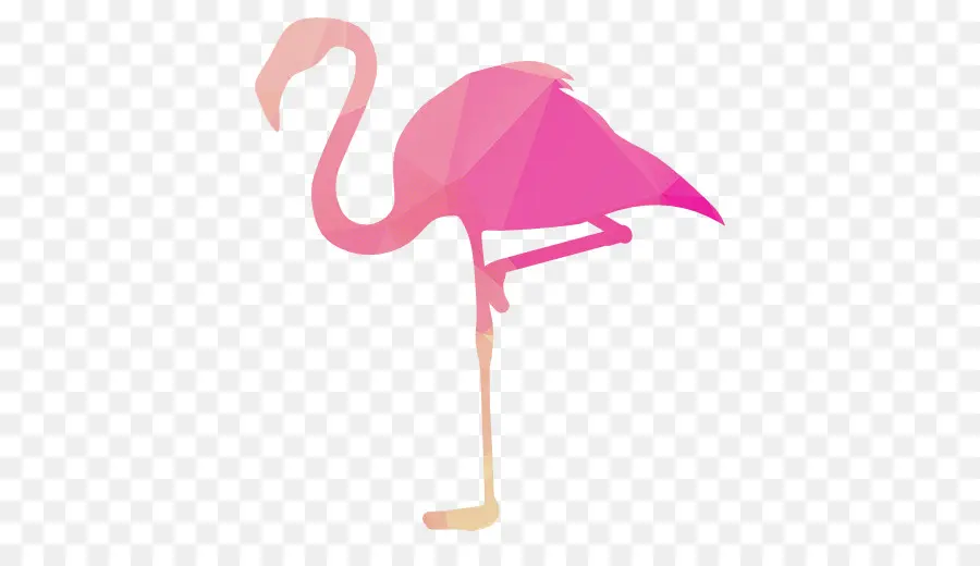 Flamingo，ícones Do Computador PNG