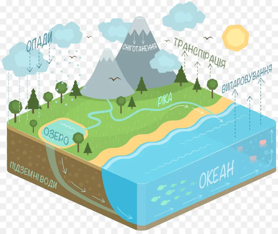 Diagrama Do Ciclo Da água，Natureza PNG