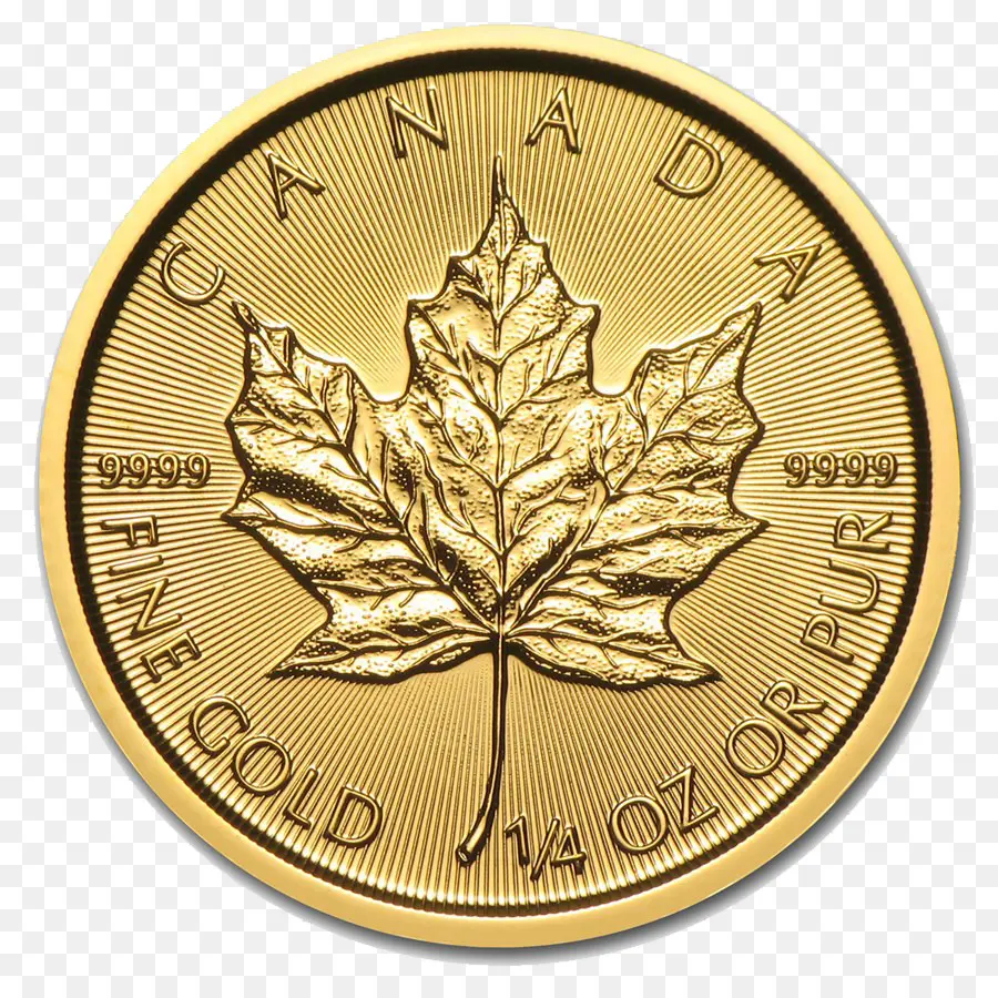 Canadense Maple Leaf De Ouro，Maple Leaf PNG