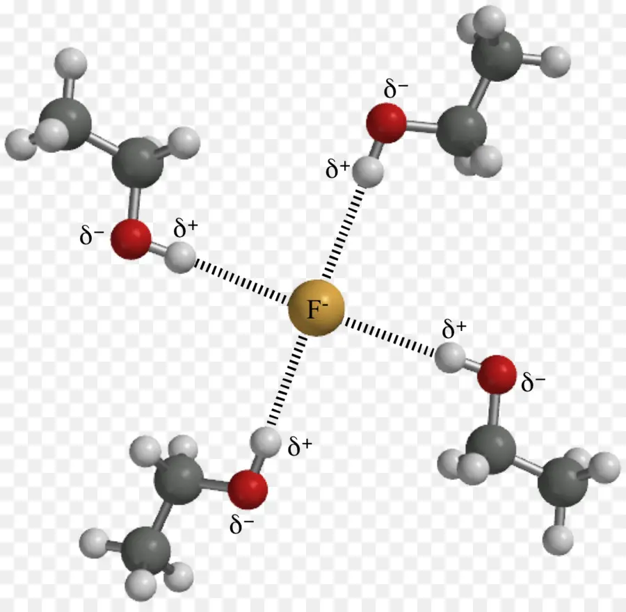 Estrutura Molecular，Átomos PNG