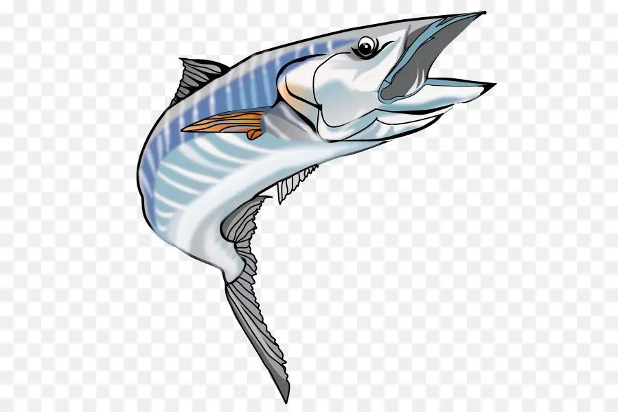 Peixe Saltando，Marinho PNG