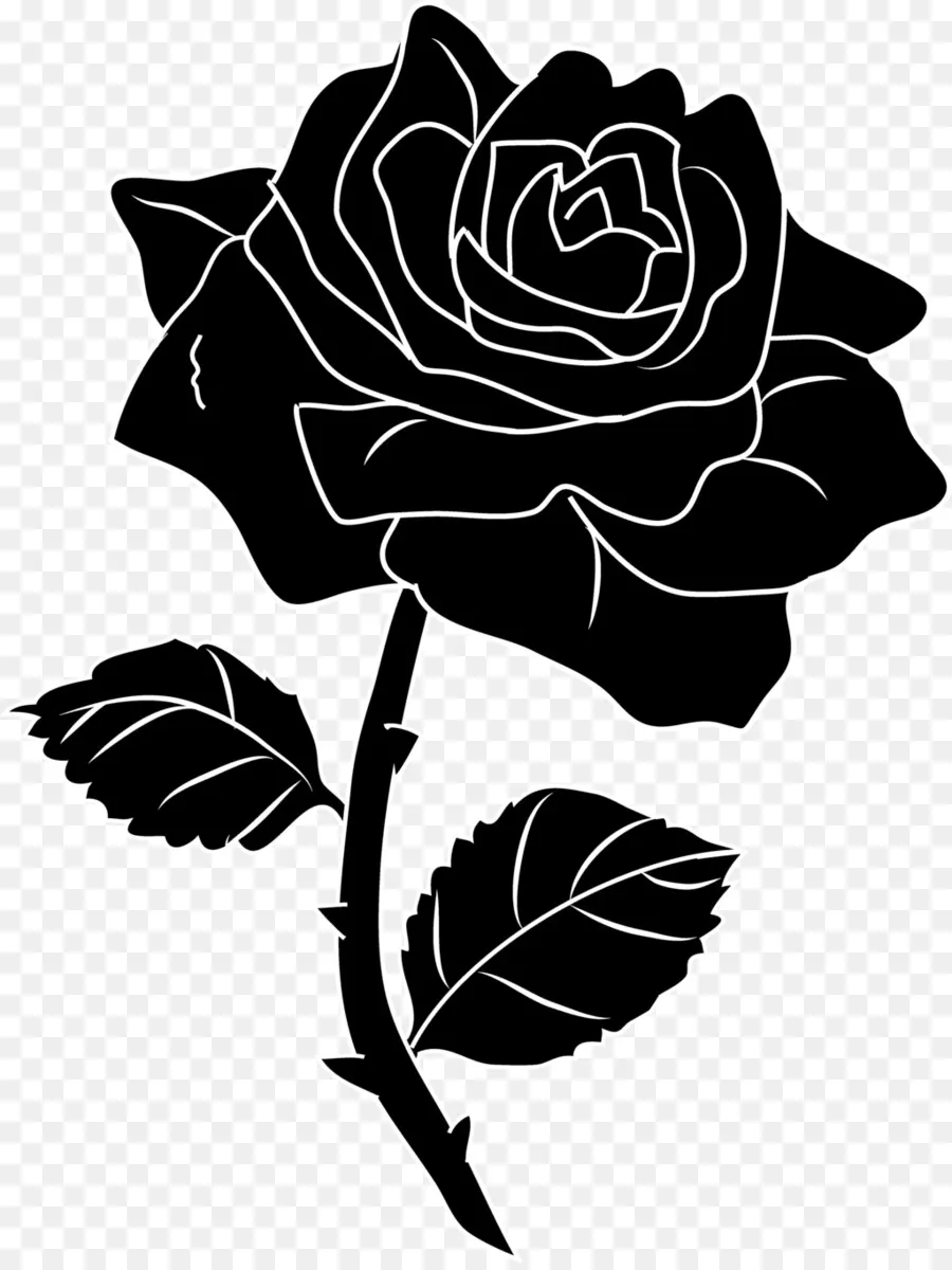 Rosa，Black Rose PNG