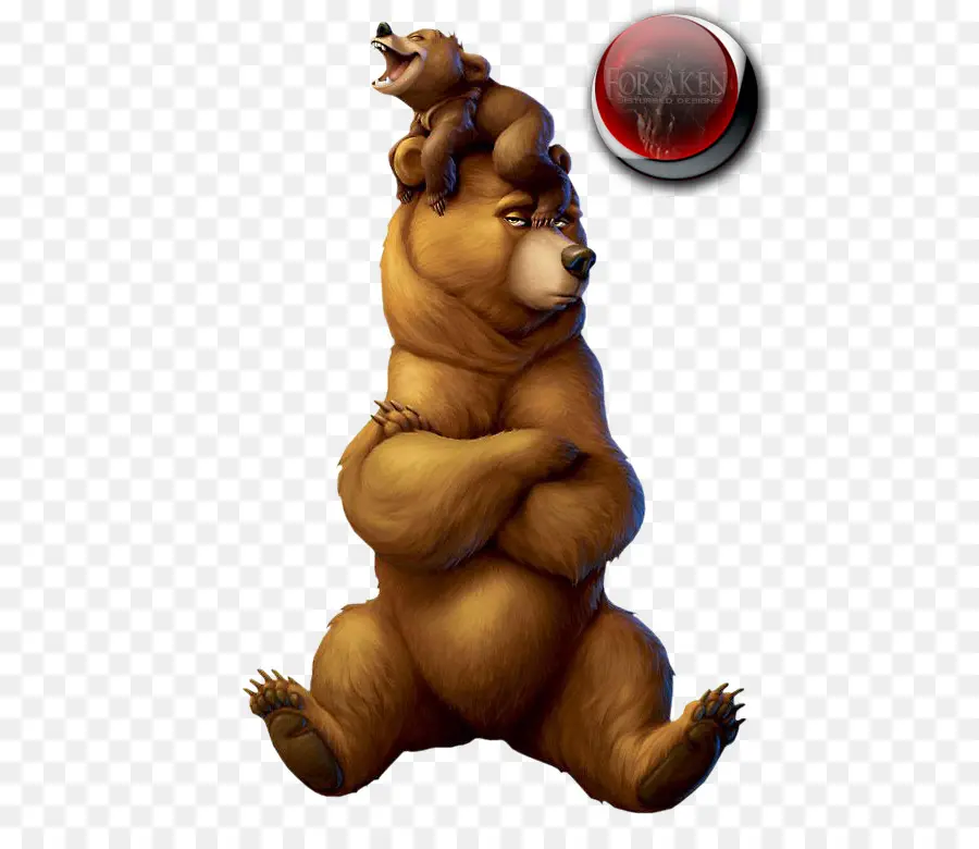 Ursos，Urso PNG