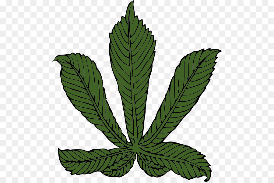 Folha De Cannabis，Maconha PNG