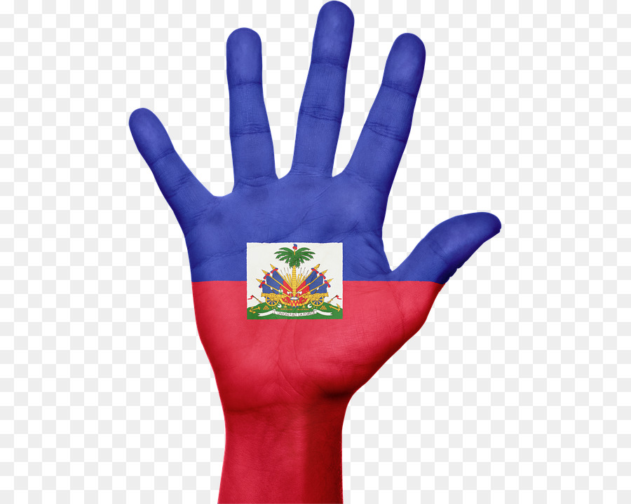 Bandeira Do Haiti，Terremoto Do Haiti De 2010 PNG