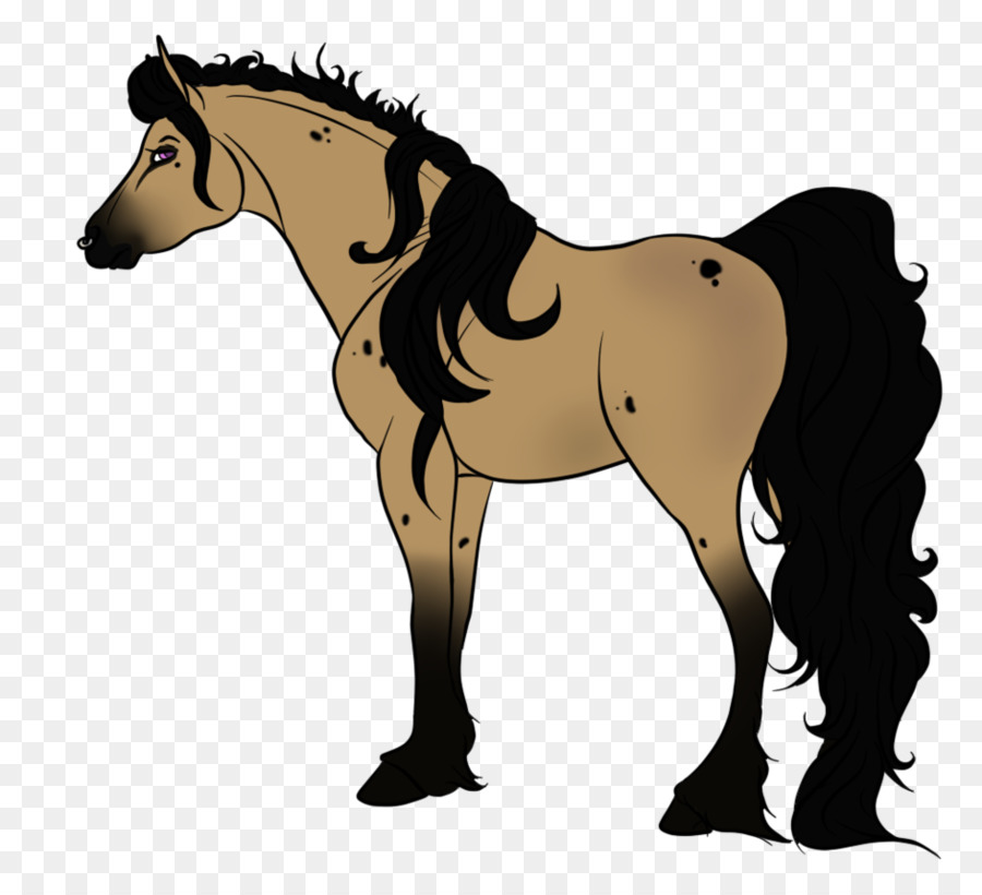 Cavalo，Equino PNG