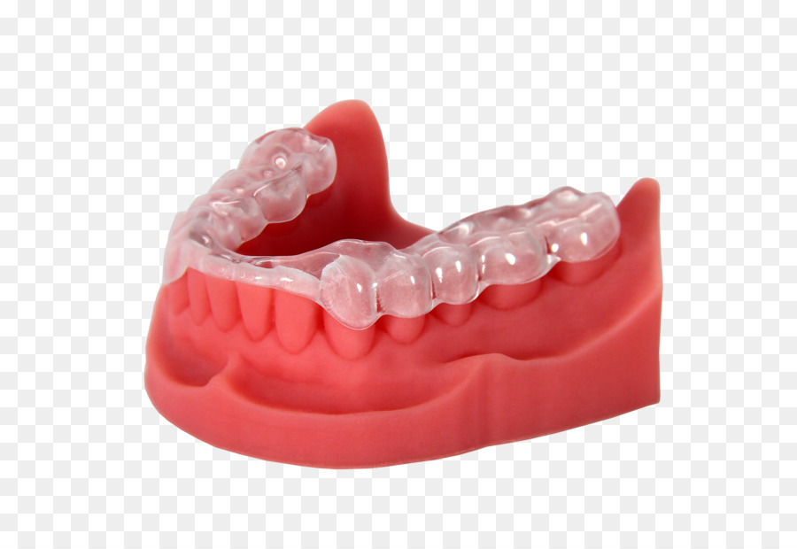 Retentor Dentário，Dentes PNG