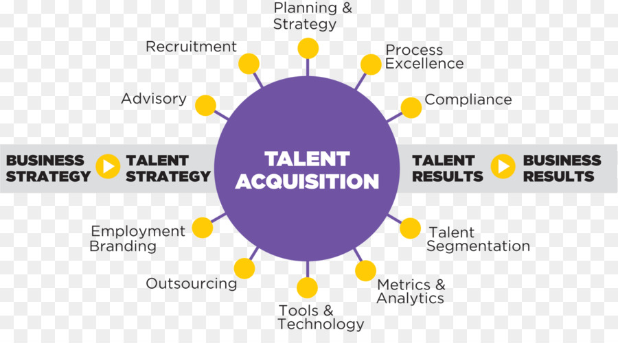 Diagrama De Aquisição De Talentos，Negócios PNG