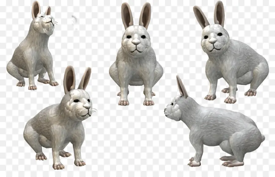 Coelhos Brancos，Múltiplo PNG