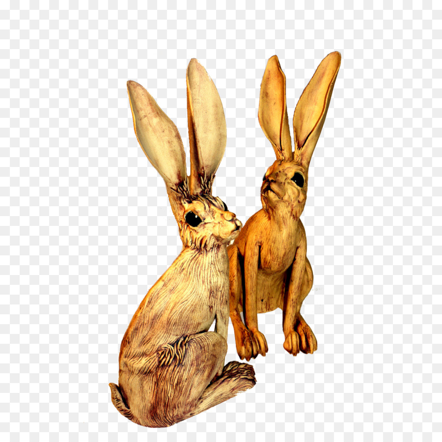 Lebre，Coelhos PNG