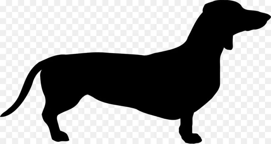 Dachshund，Scottish Terrier PNG
