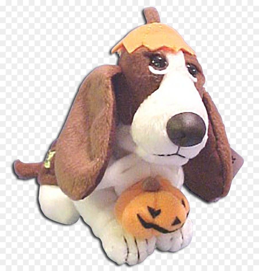 Basset Hound，Filhote De Cachorro PNG