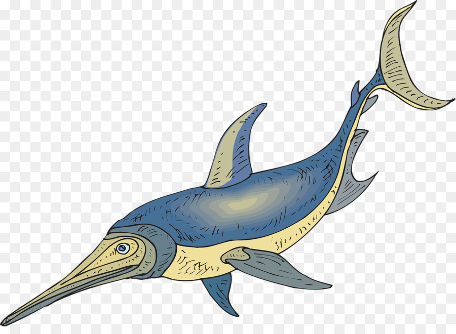 Peixe Espada，Peixe PNG