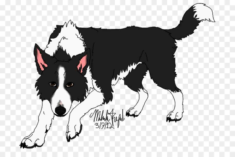 Border Collie，Karelian Bear Dog PNG