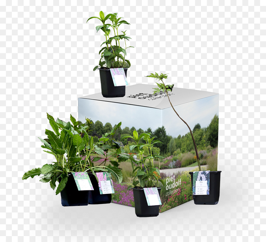 Flowerpot，Jardim PNG