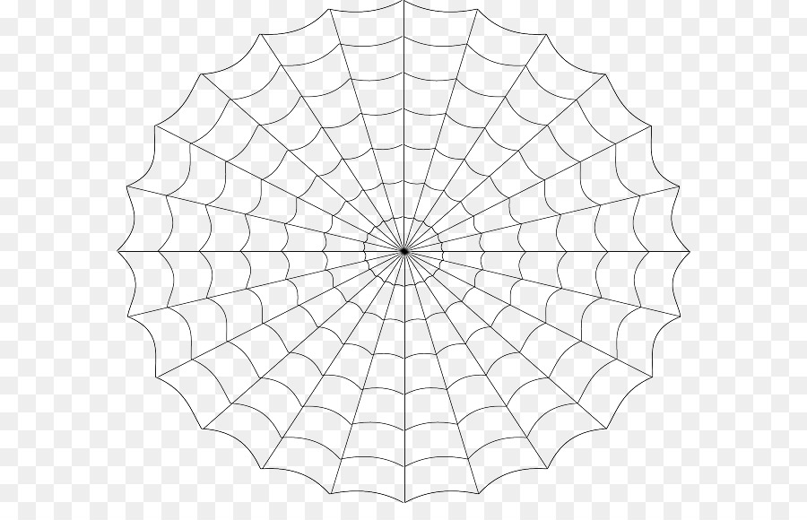 Teia De Aranha，Aranha PNG