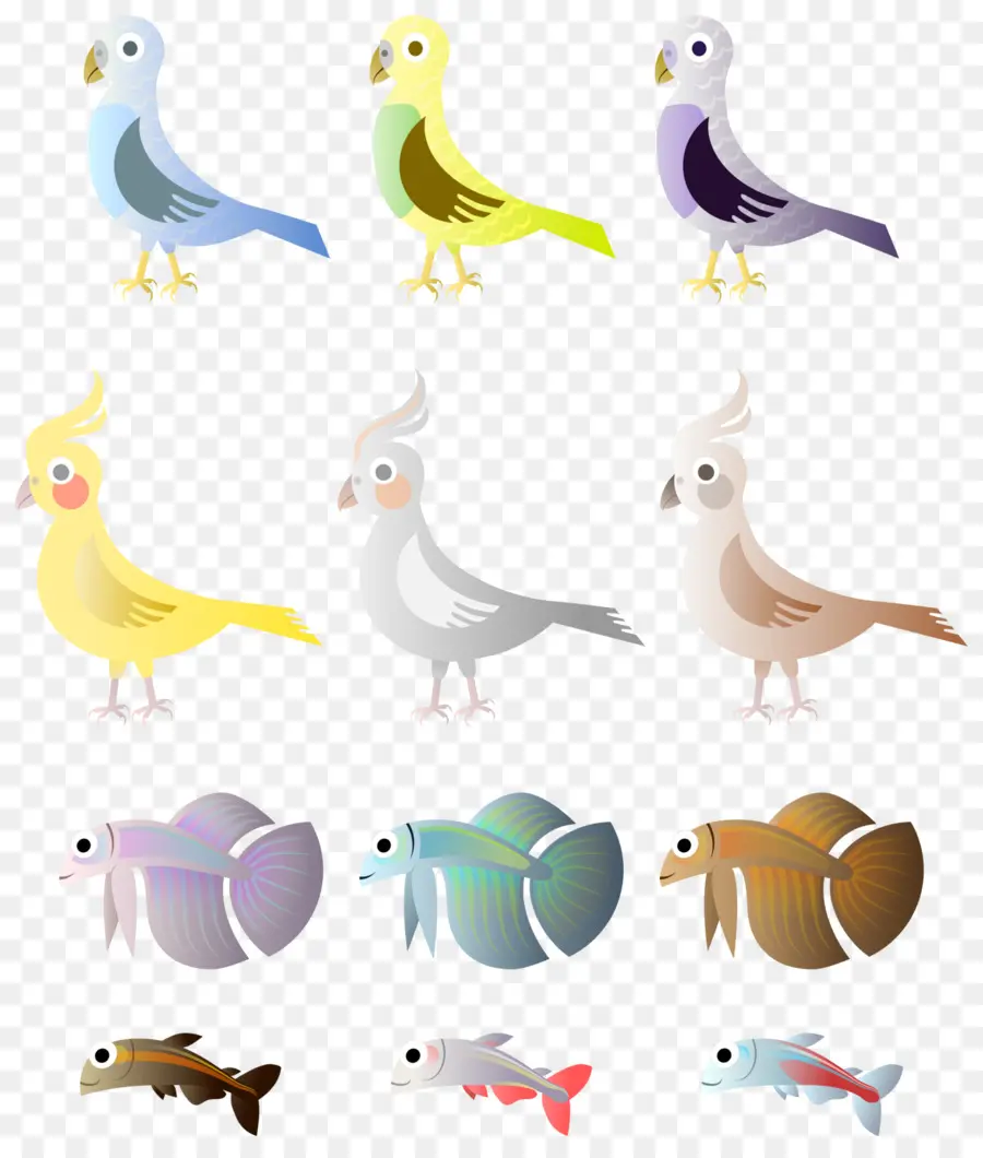 Pássaros E Peixes，Colorido PNG