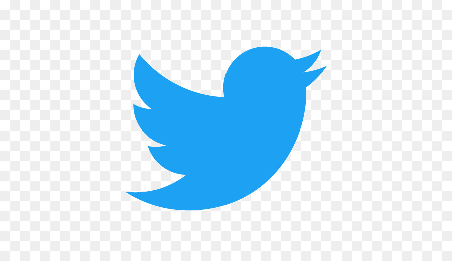 Logotipo Do Twitter，Pássaro PNG