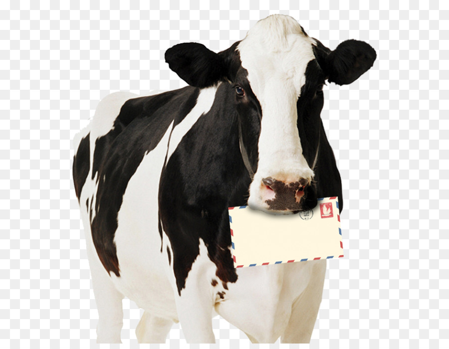 Vaca，Envelope PNG