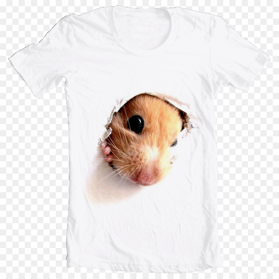 Camiseta Rato，Vestuário PNG