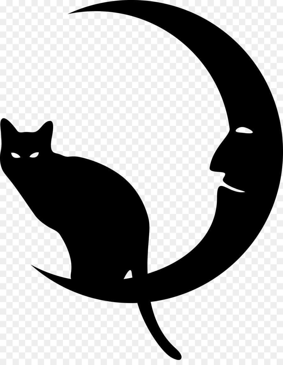 Gato E Lua，Noite PNG